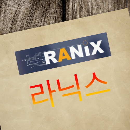  자율주행 관련 부품주 (라닉스, RANiX)