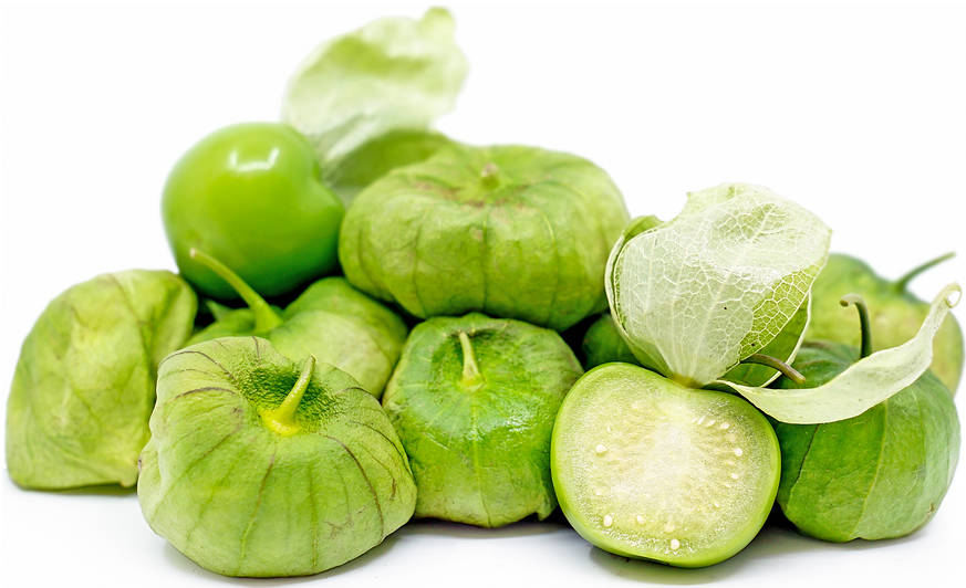  토마틸로 Tomatillo 에 대해서 알아볼게요.