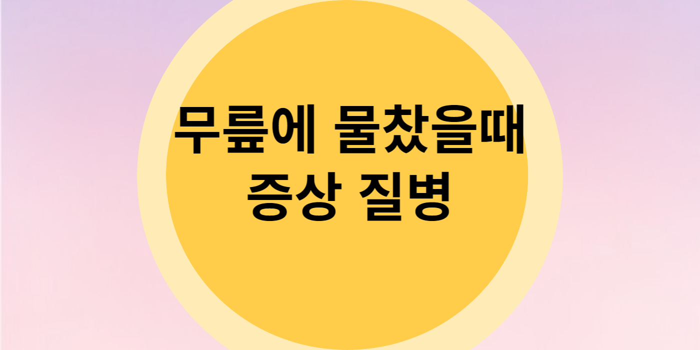 무릎에 물찼을때 증상 질병