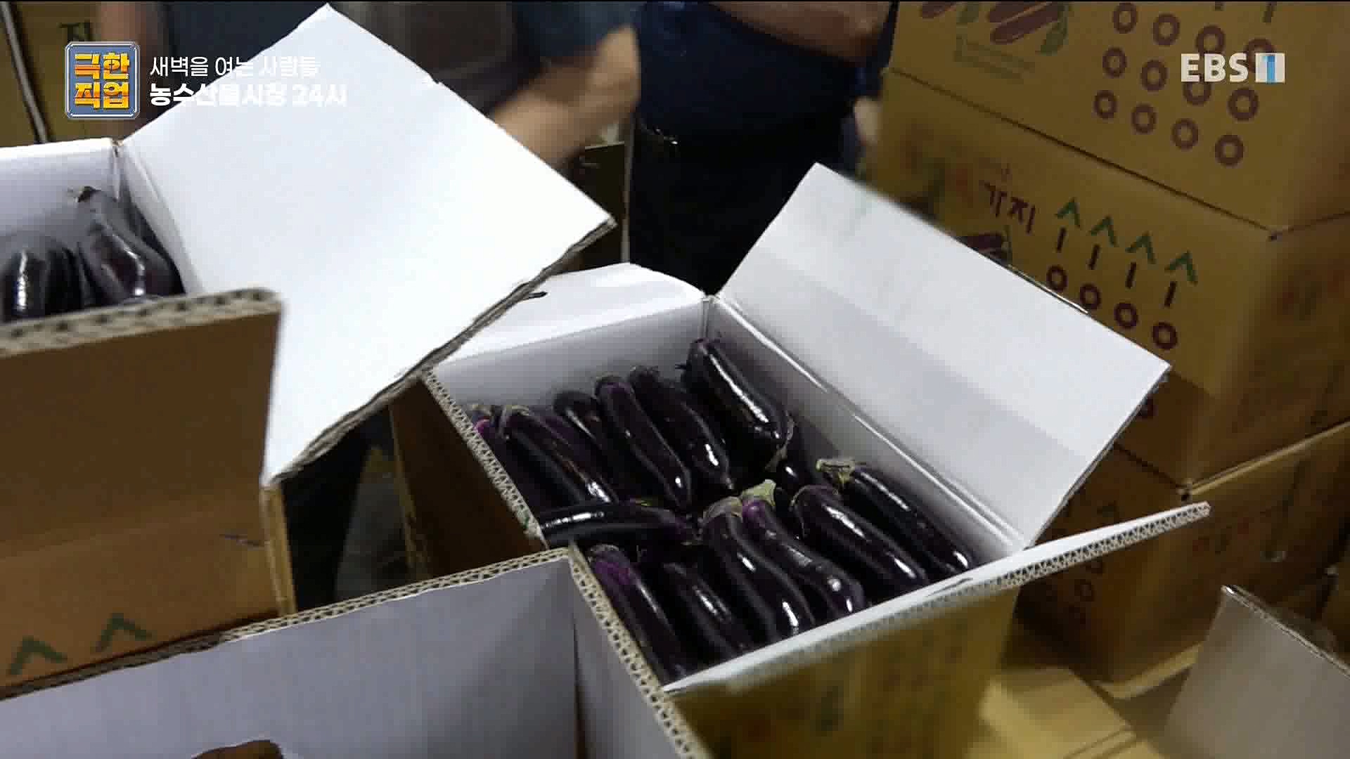 농수산물 시장 24시.mp4_20221020_161714.415.jpg