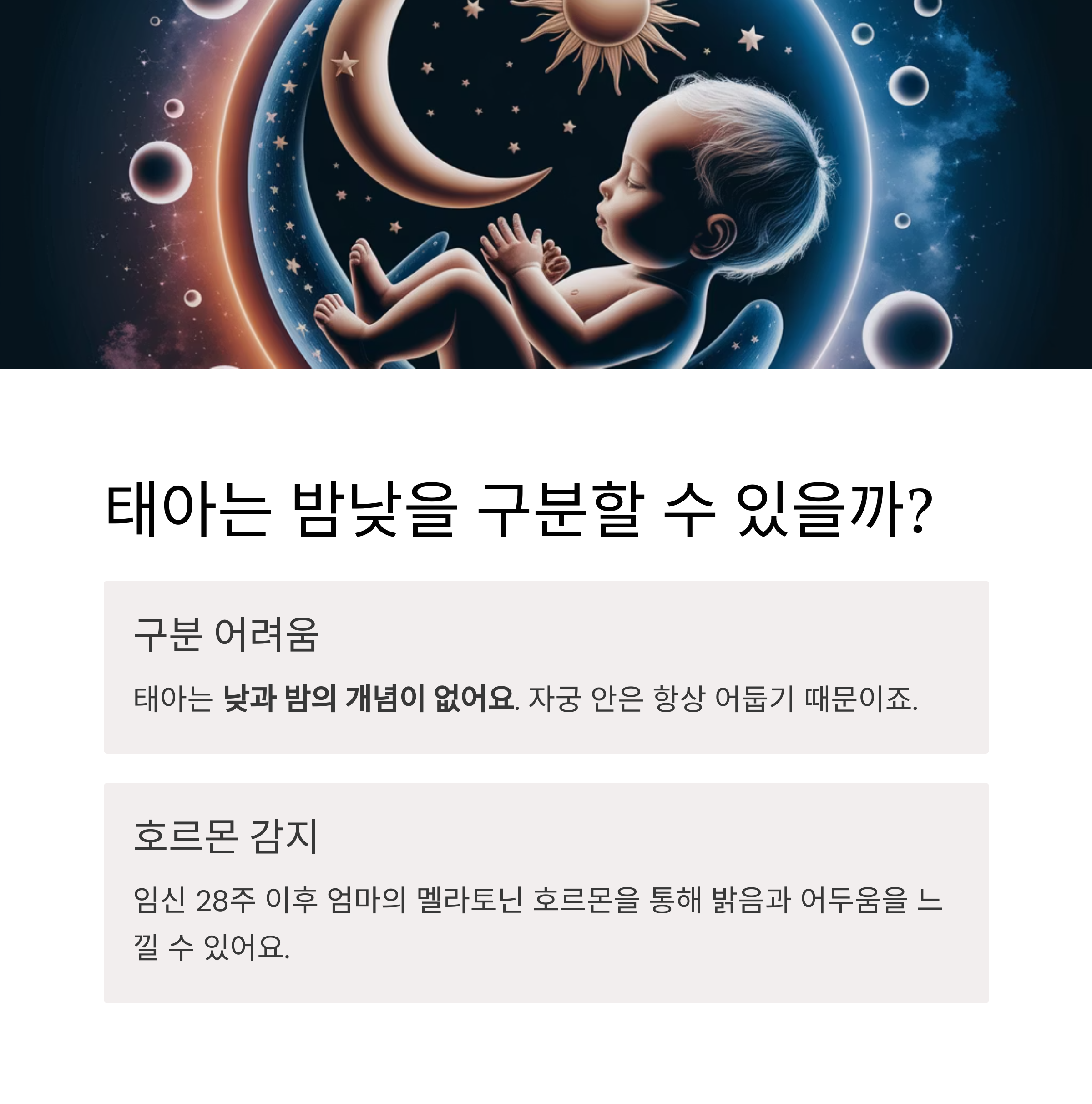 태아 활동 – 태아는 밤낮을 구분할 수 있을까?