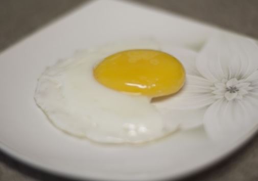  호텔 조식시 계란요리 (달걀요리) 정보
