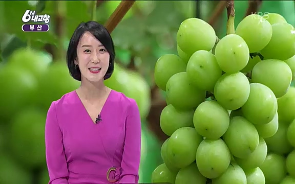 [7612회] 6시 내고향 - KBS7612회] 6시 내고향.ts_20220912_174121.453.jpg