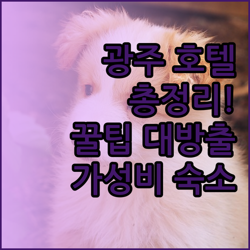 광주 호텔 완벽 분석! 후기, 정책,