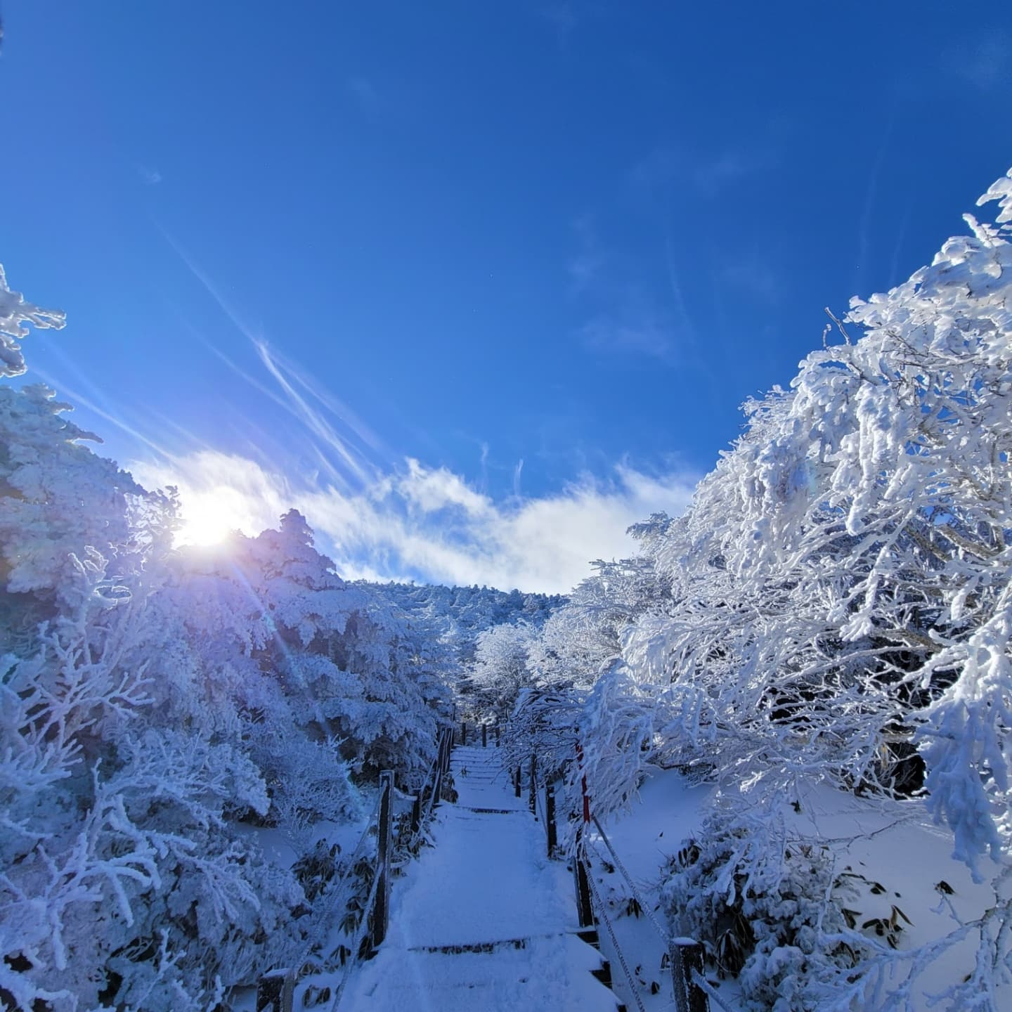 한라산 등산로