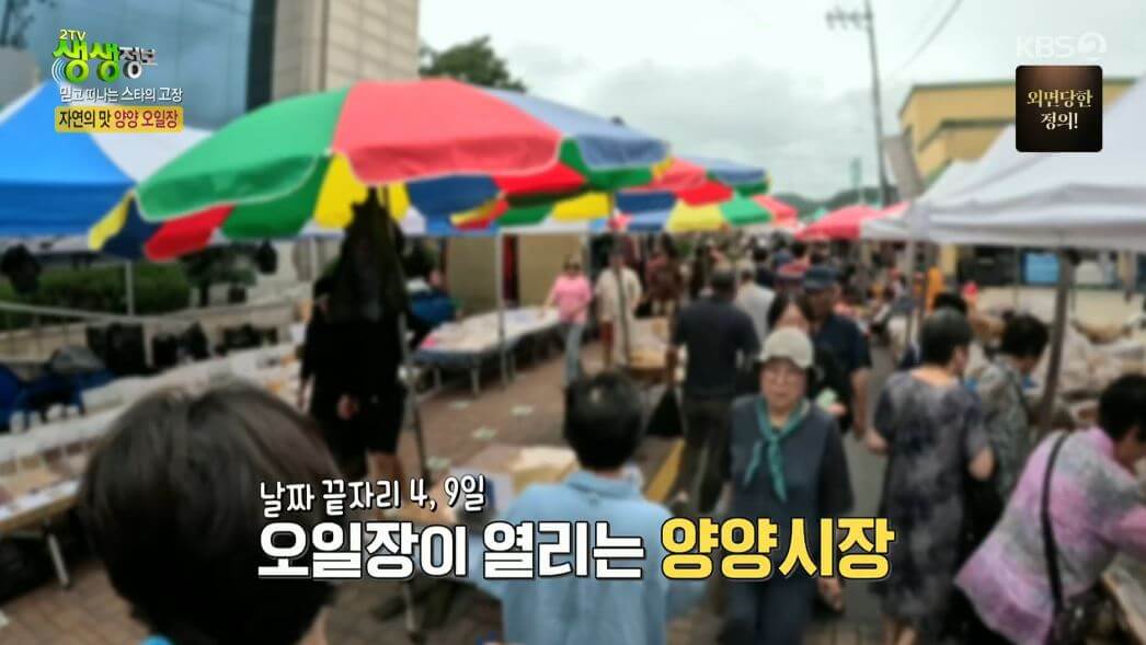 오일장 양양시장