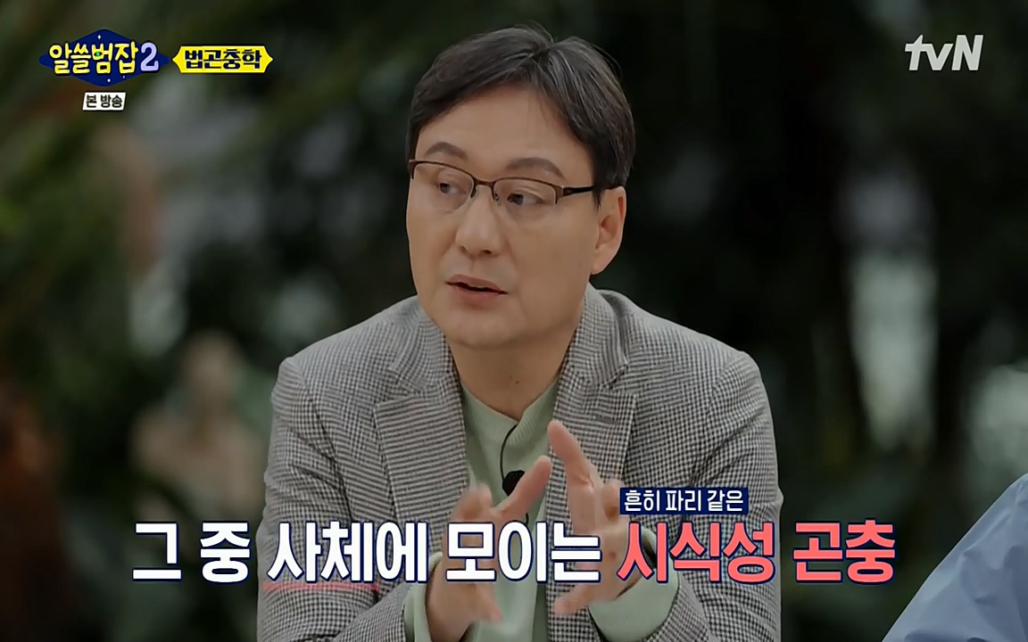 알쓸범잡 2.E15.220425p-NEXT.mp4_20220425_181114.318.jpg