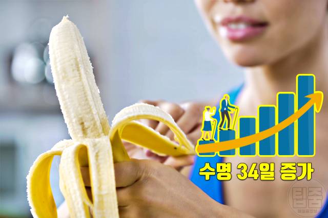 바나나 2개 매일 먹으면 바나나효능