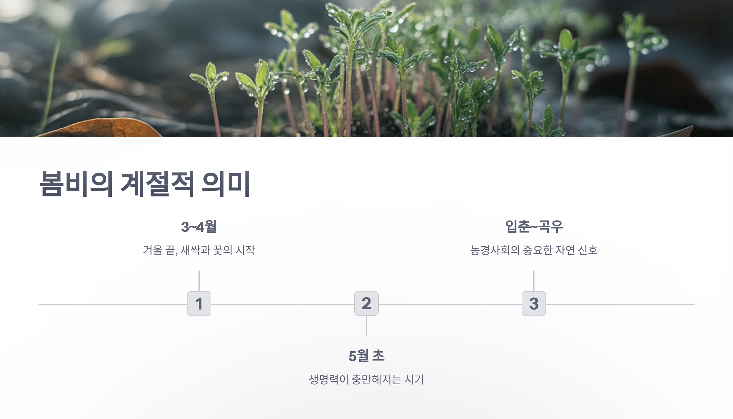 참조-봄비-2