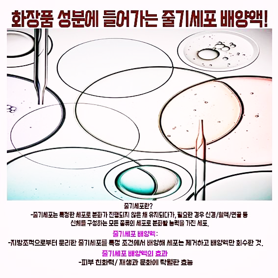  피부에 영향을 미치는 줄기세포배양액