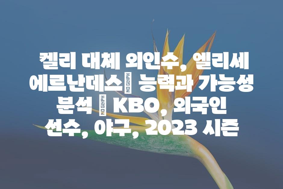 샘플 (45)