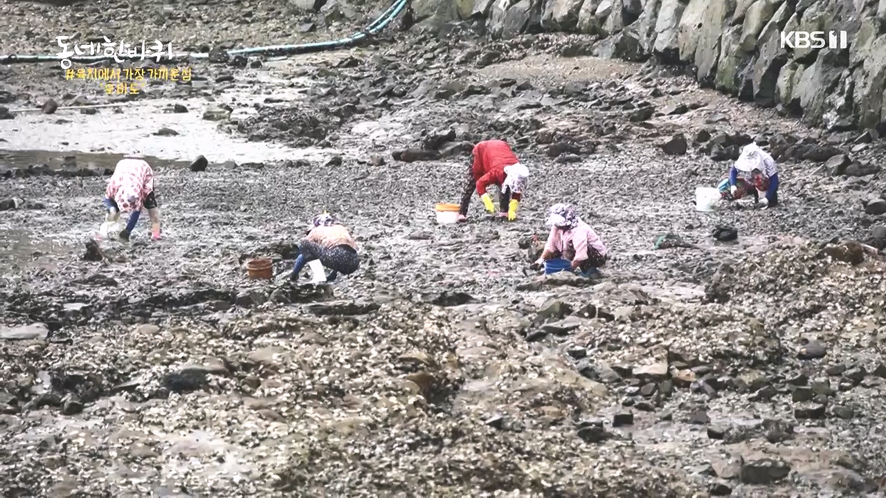 동네 한 바퀴.E243.231015p-NEXT.mp4_20231015_183410.620.jpg