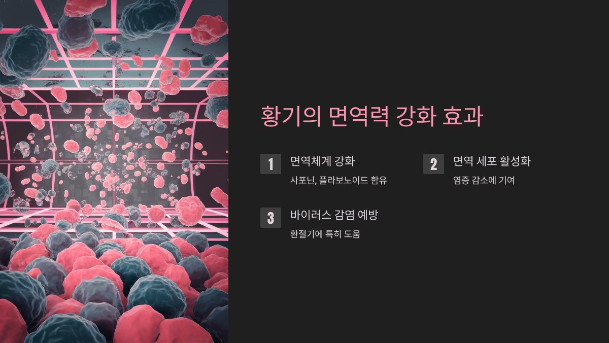 황기 효능