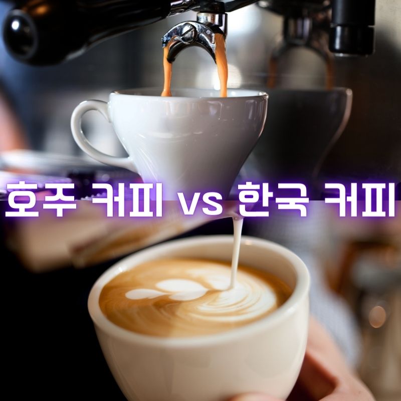 호주-커피vs한국-커피