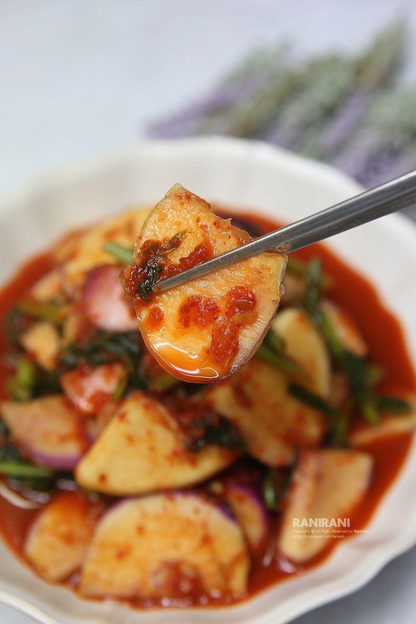 순무김치5kg 주문 택배 4