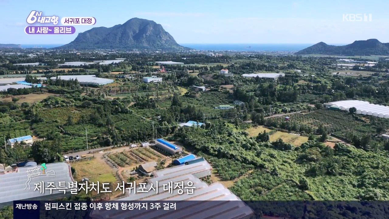 6시 내고향.E7910.231032p-NEXT.mp4_20231101_201904.570.jpg