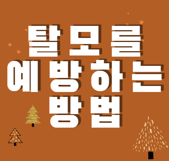  탈모 미리 예방하자! - 무심코 하는 탈모를 유발하는 습관