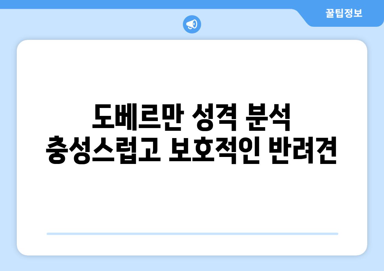 도베르만 성격 분석 충성스럽고 보호적인 반려견