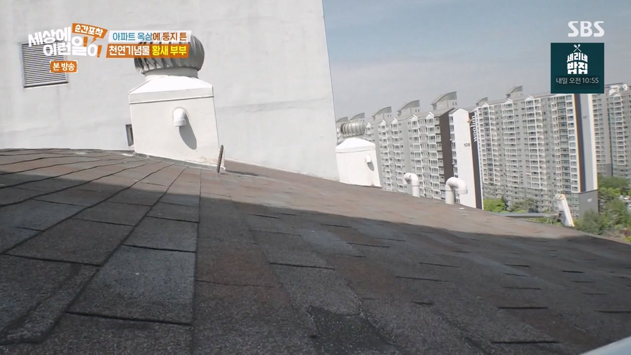 순간포착 세상에 이런일이.E1276.240505p-NEXT.mp4_20240505_151153.442.jpg