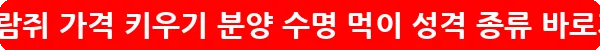 하늘다람쥐 가격 키우기 분양 수명 먹이 성격 종류_19