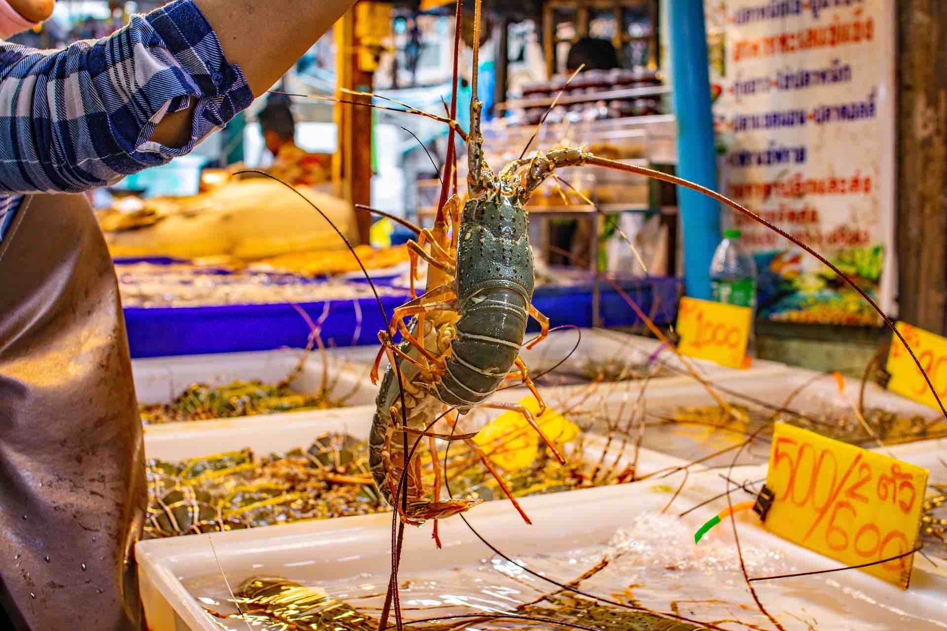 푸켓 수산시장