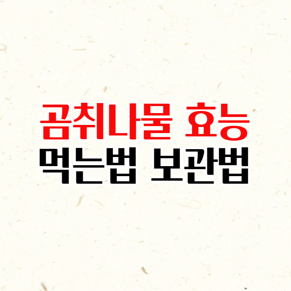  곰취나물 효능과 먹는법 및 보관법