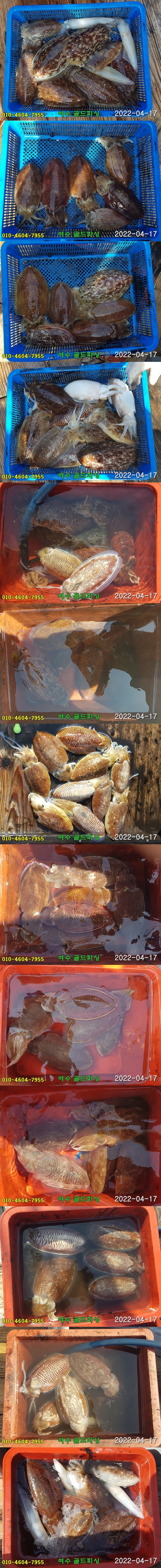 img.jpg