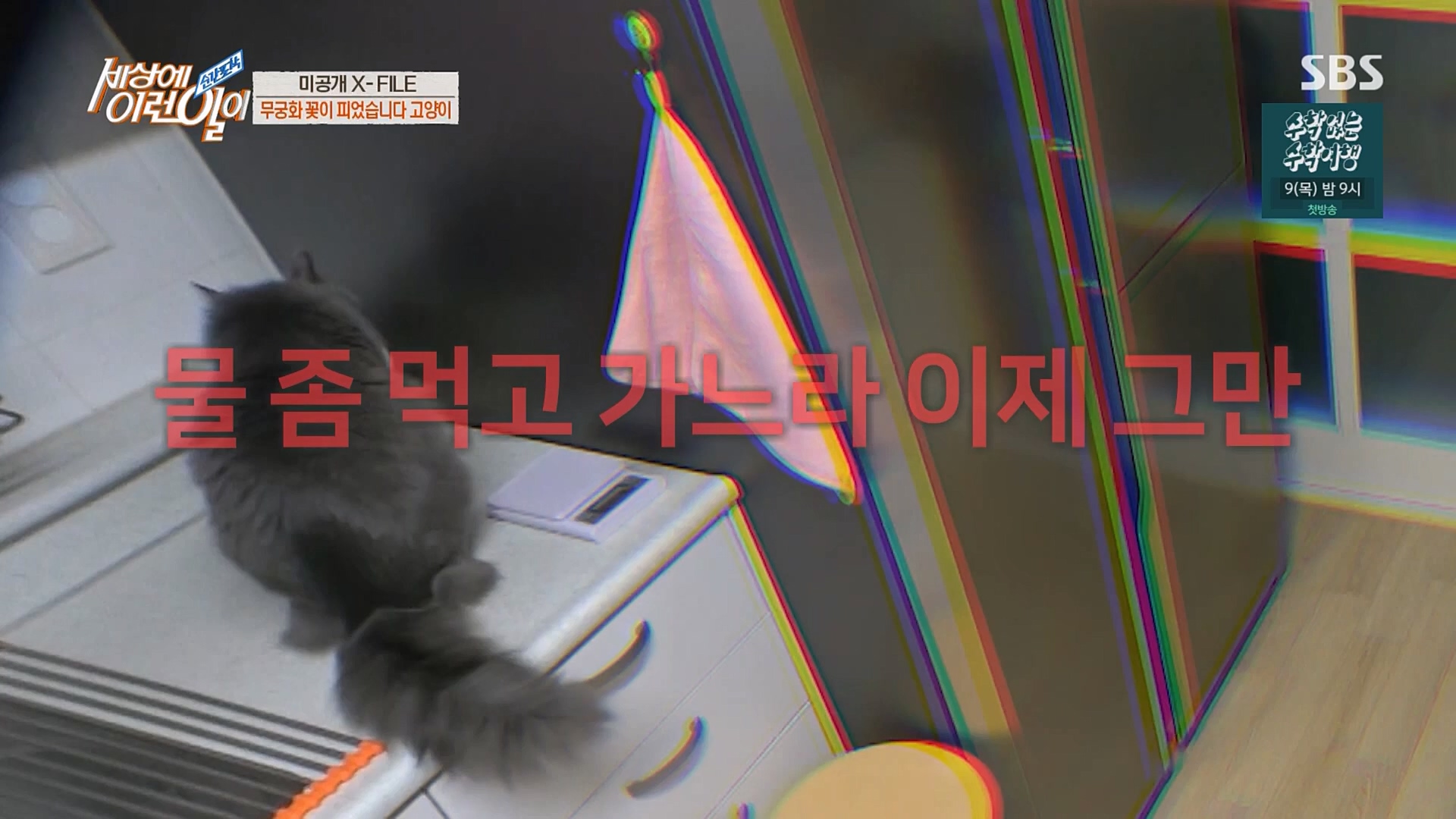 순간포착 세상에 이런일이.E1220.230307p.H264-F1RST.mp4_20230308_193449.839.jpg