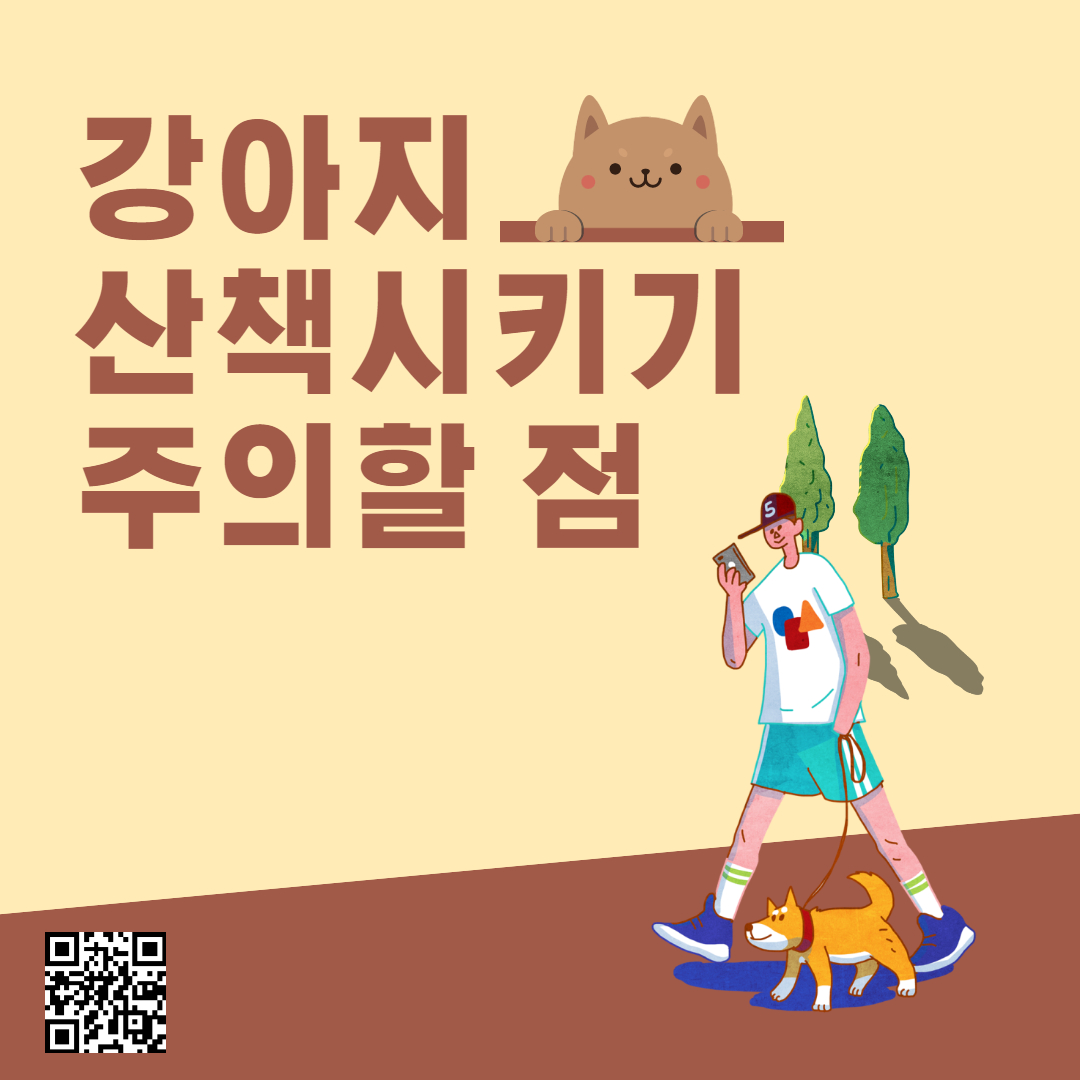 강아지 산책&#44; 주의할 점