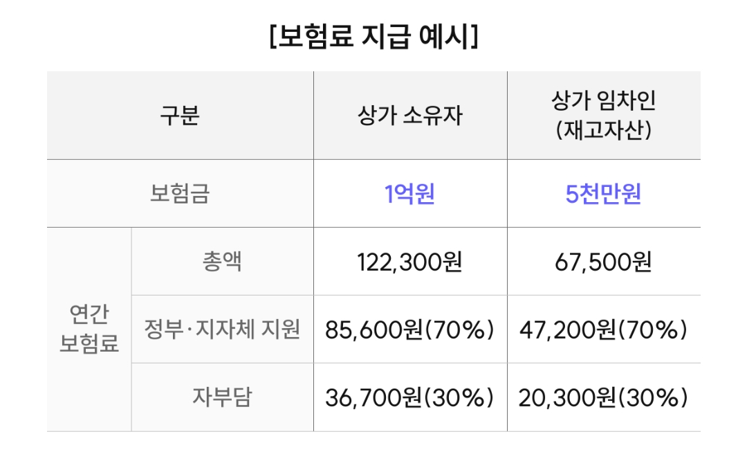 보험료 지급 예시