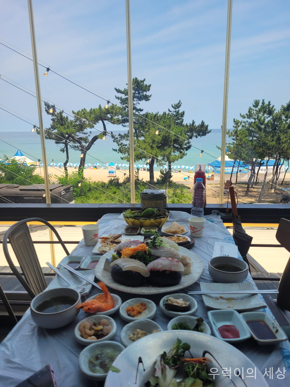 경포대 건도리횟집 모듬회