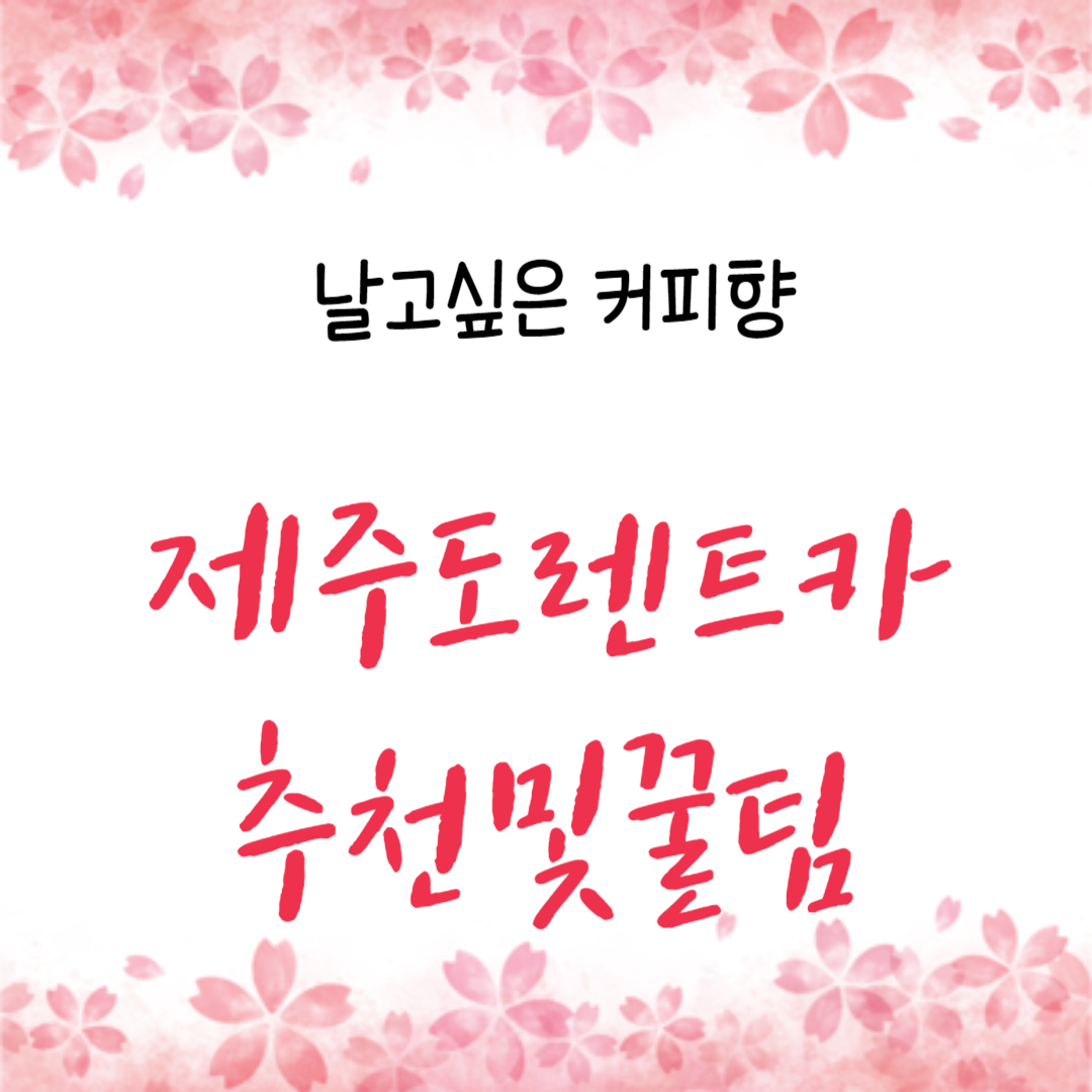  제주도 렌트카 , 렌터카 추천 및 꿀팁
