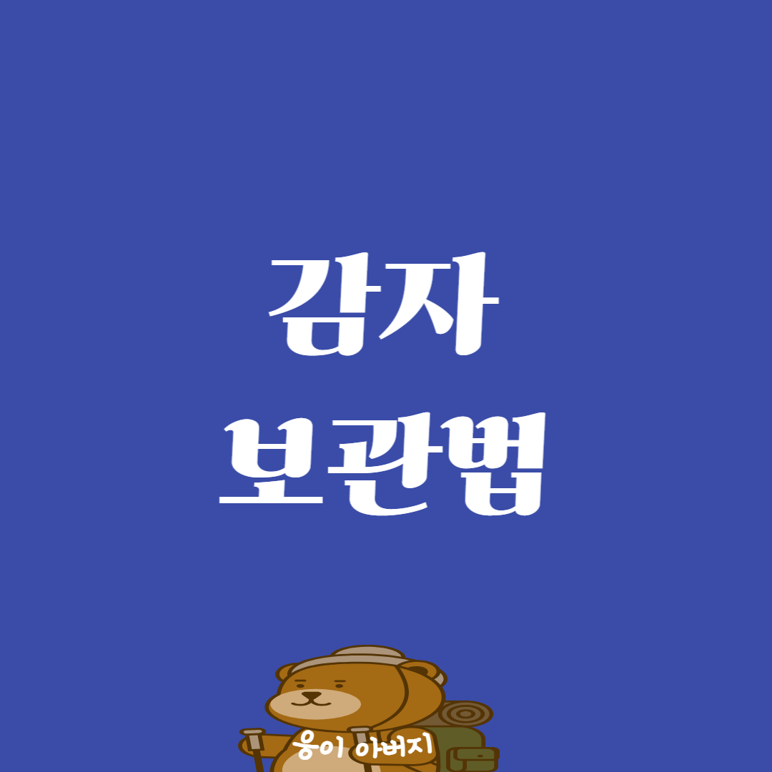 감자 보관법1