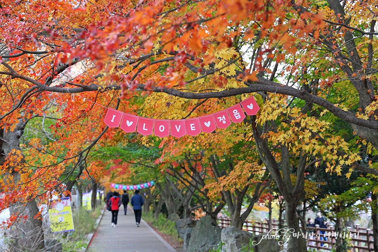 11/5 장산 단풍 절정의 정읍 내장사 29