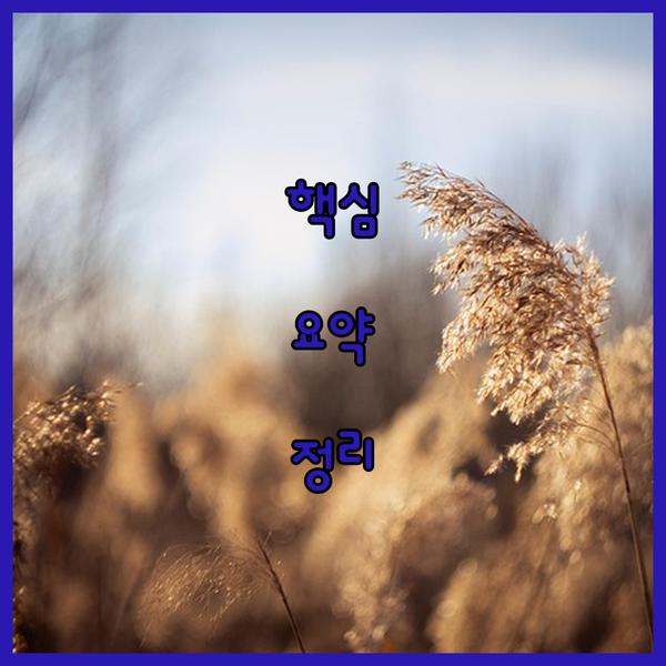 천도호 여행 후기 숨겨진 보석같은 리