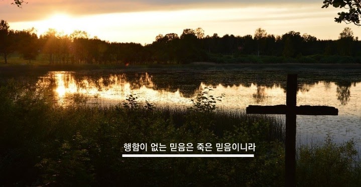  7월 5일 주일 오늘의 묵상 : 분별력, 지식 그리고 행동