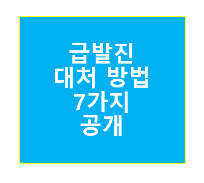 급발진 대처법