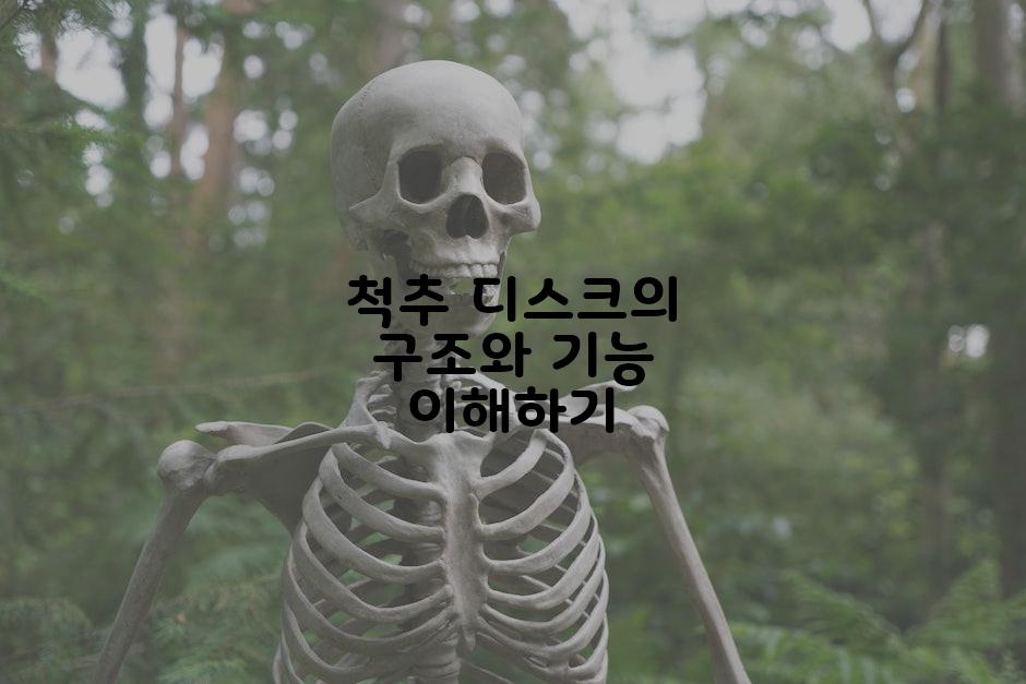 척추 디스크의 구조와 기능 이해하기