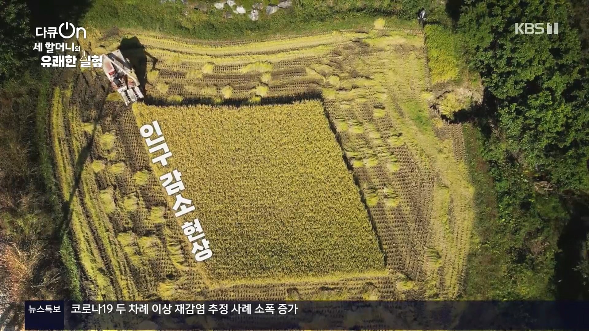 다큐 On.E166.221028p.H264-F1RST.mp4_20221031_194207.480.jpg