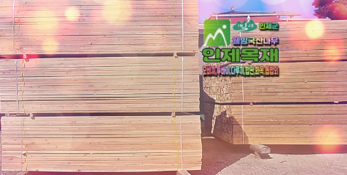 가설재-오비끼-투바이-폼다루끼