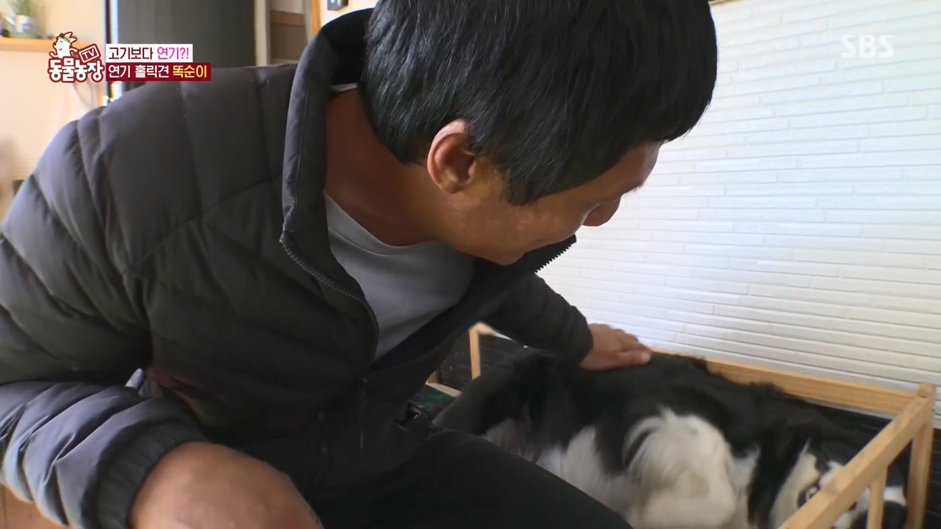 TV 동물농장.E1148.231203p.H264-F1RST.mp4_20231203_165827.644.jpg