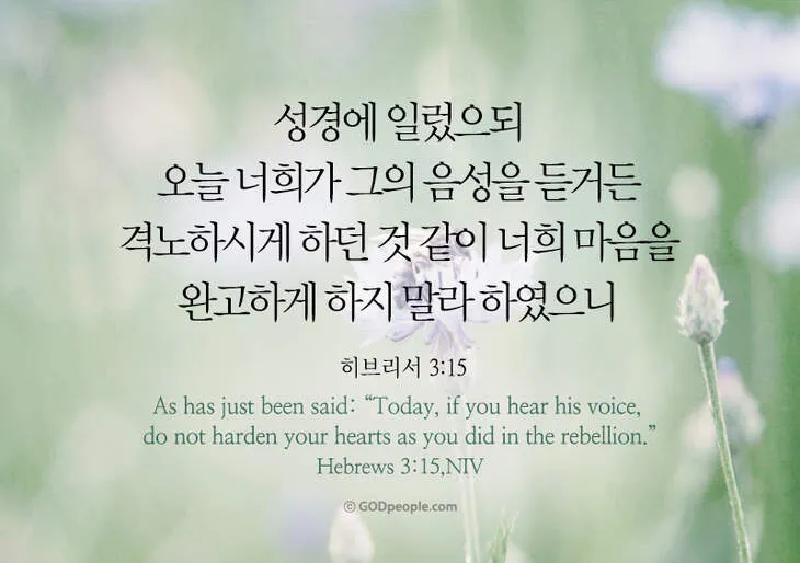 히브리서 3장 하느님의 성경 묵상_4