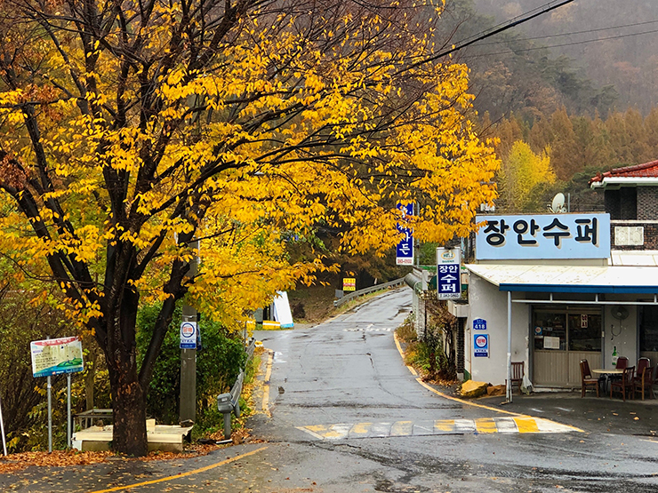 장태산-장안수퍼