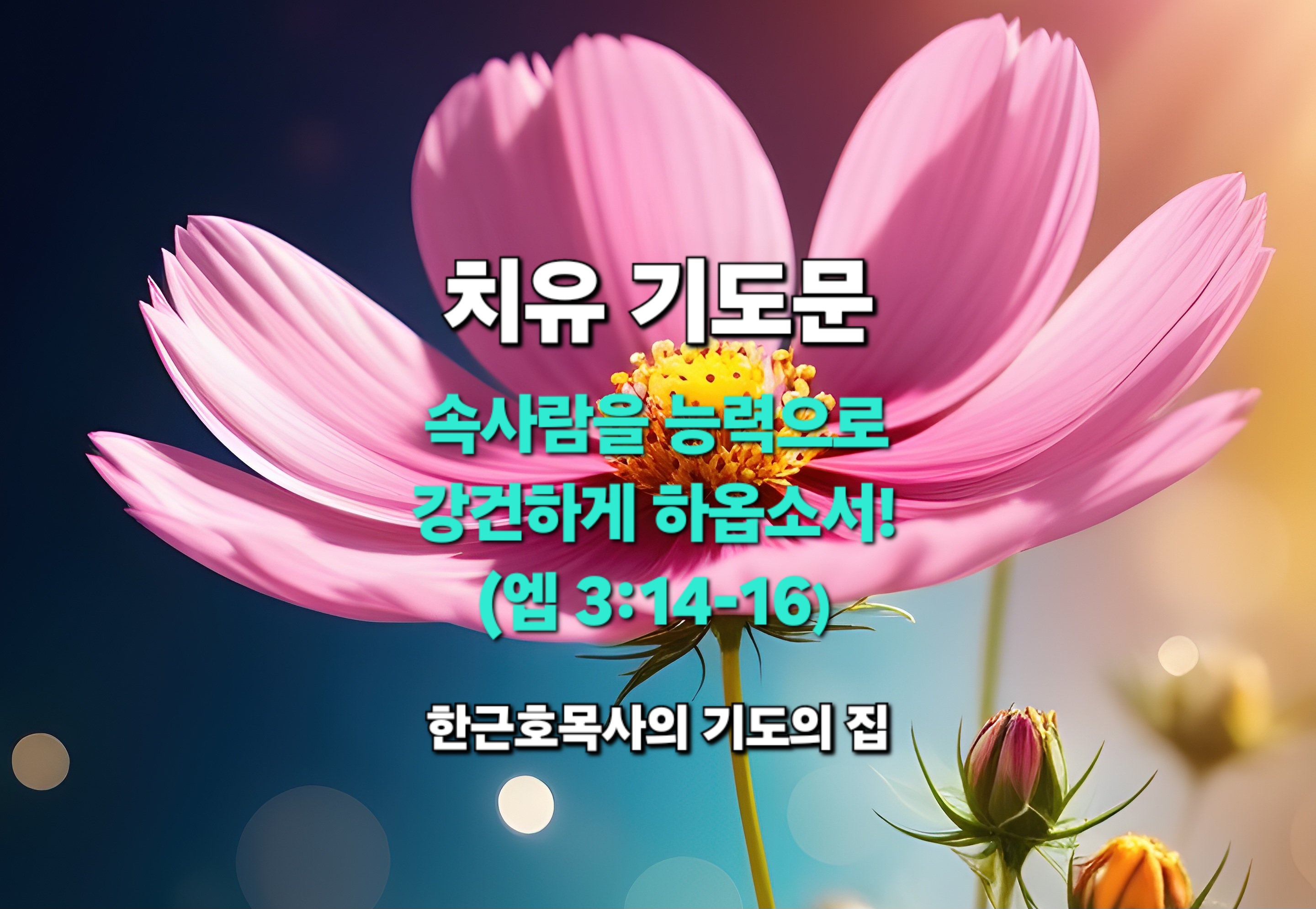  치유 기도문 _ 주여, 성령으로 말미암아 속사람을 능력으로 강건하게 하옵소서! (엡 3:14-16)