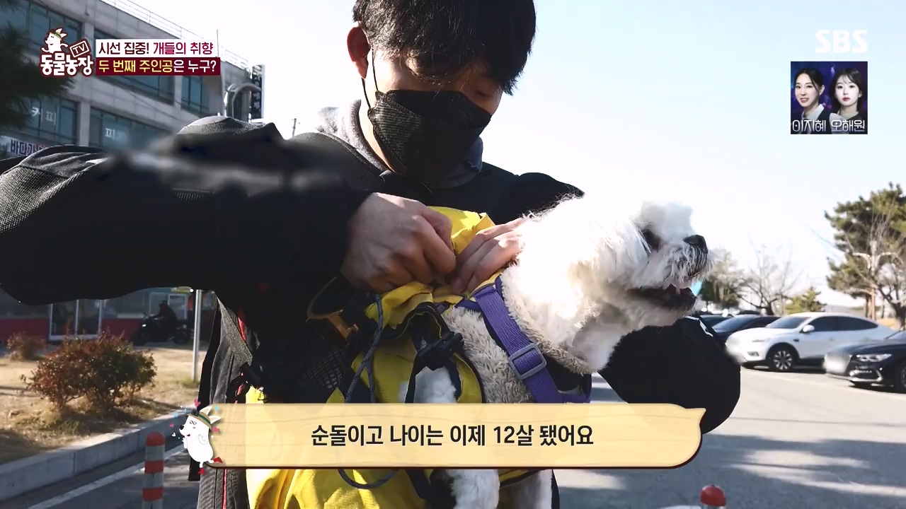 TV 동물농장.E1152.231232p-NEXT.mp4_20231231_172004.957.jpg