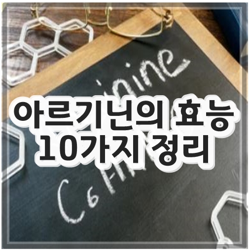 아르기닌의 효능 10가지 정리