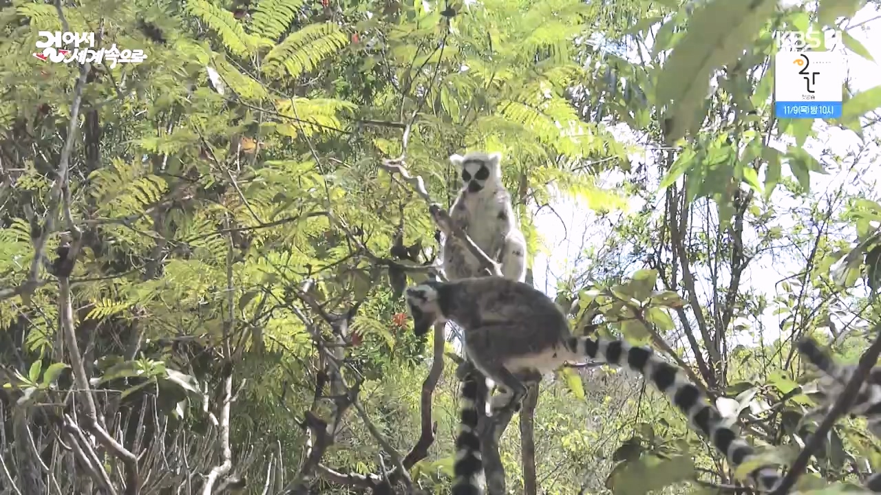 걸어서 세계속으로.E814.231022p-NEXT.mp4_20231022_170316.659.jpg