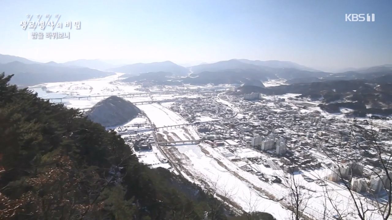 생로병사의 비밀.E901.240222p-NEXT.mp4_20240222_201831.077.jpg