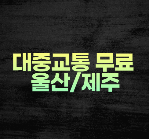 대중교통 무료 시행 울산 제주
