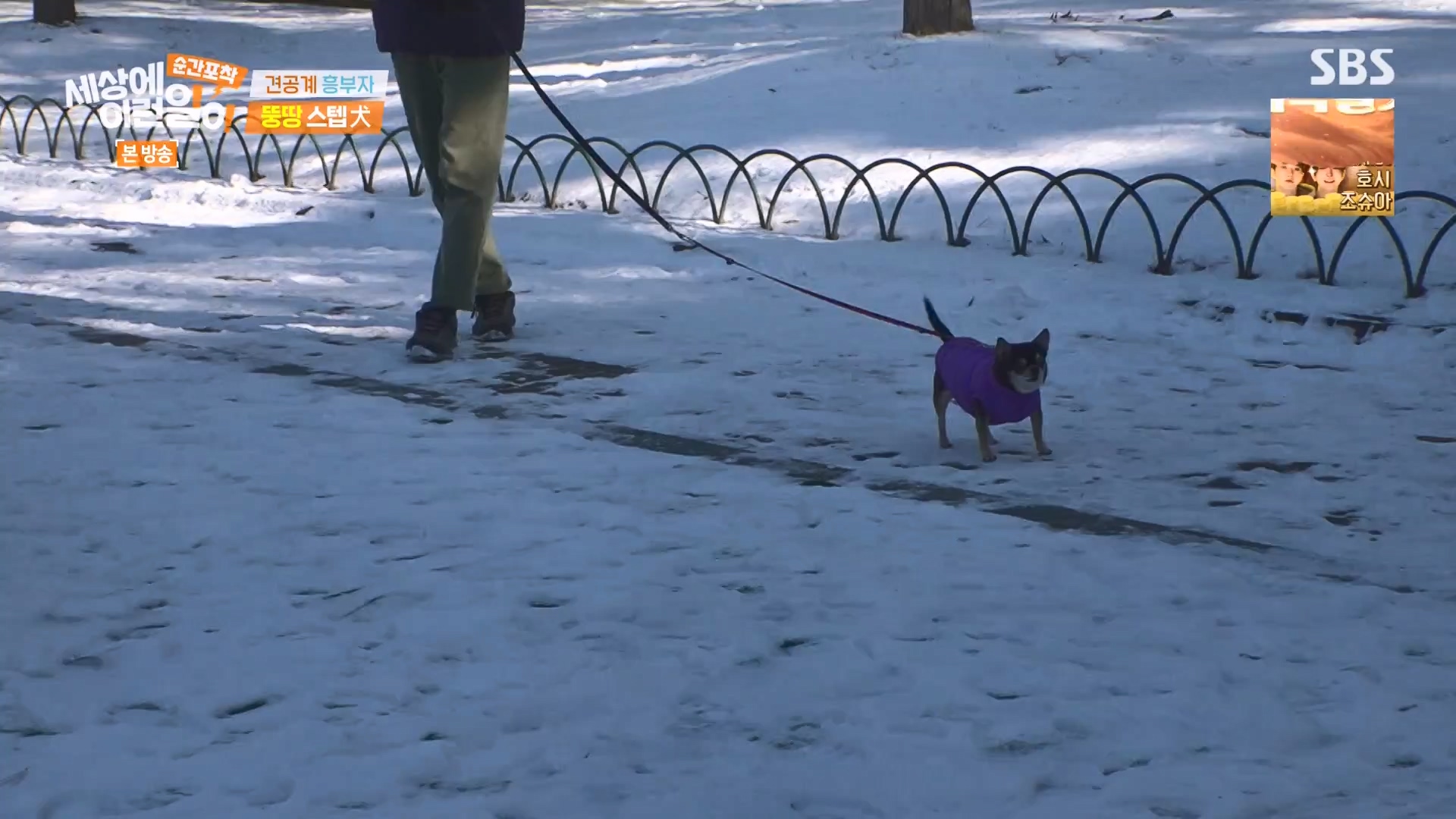 순간포착 세상에 이런일이.E1261.240120p-NEXT.mp4_20240121_133930.699.jpg